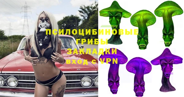 амф Алексин